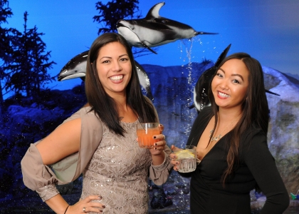 green screen photo booth at shedd aquarium chicago